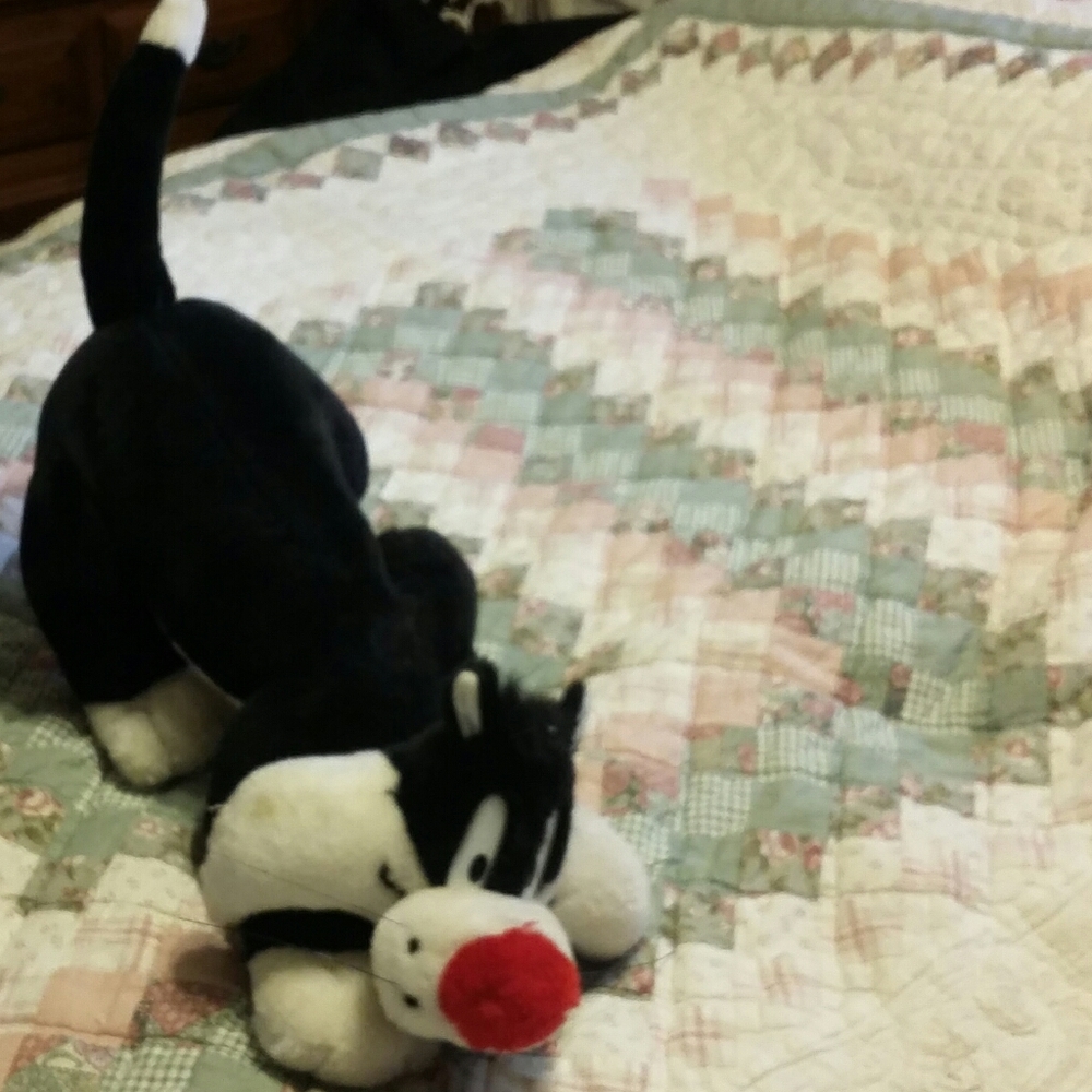 Cartoon Network black and white Cat